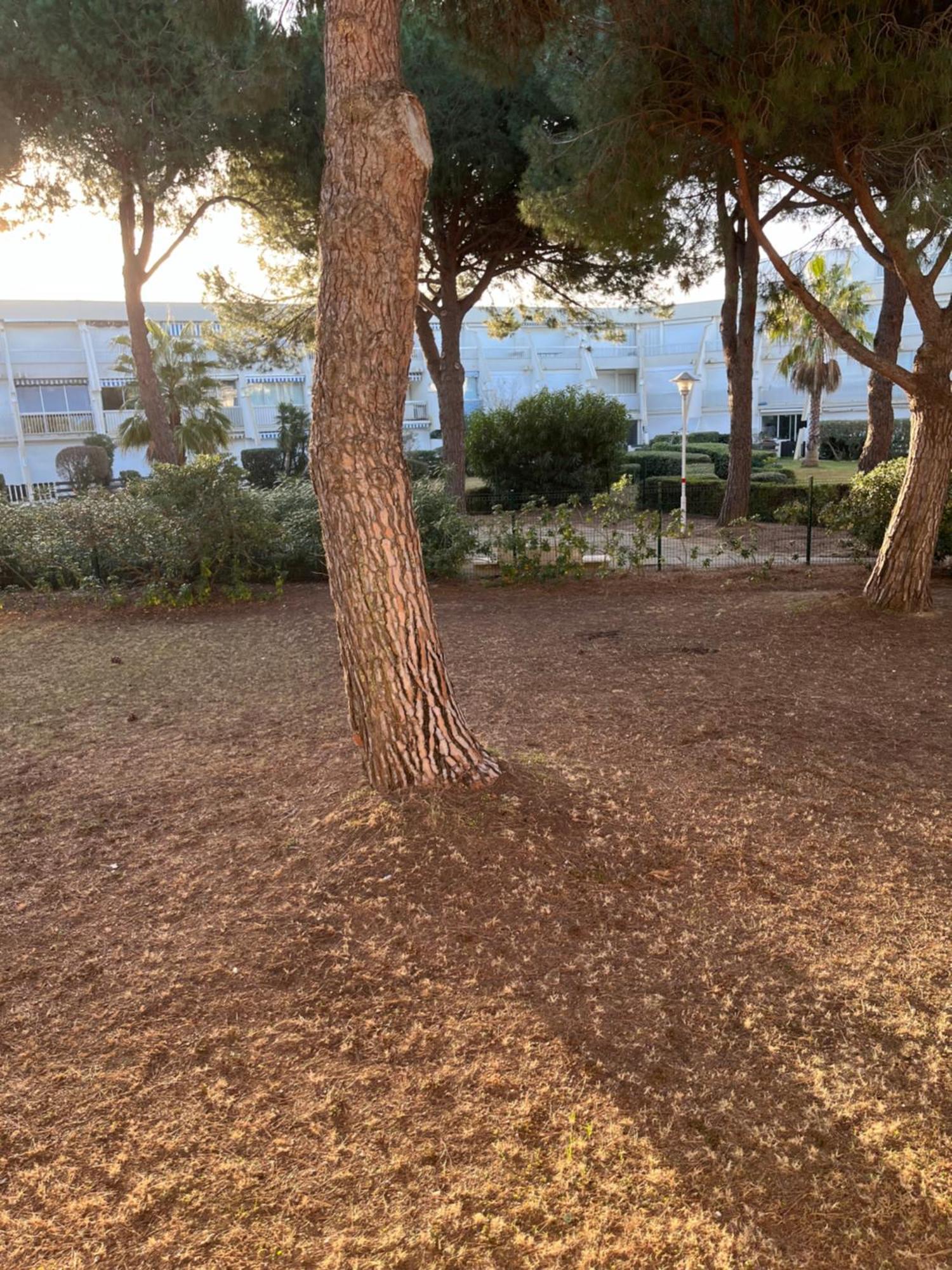 Les Caravelles Plage Sud Le Grau-du-Roi Esterno foto